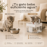 Fuente FURETO™ — Fuente Automática para Gatos