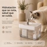 Fuente FURETO™ — Fuente Automática para Gatos